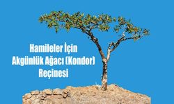 Hamileler ve Öğrenciler İçin Kondor