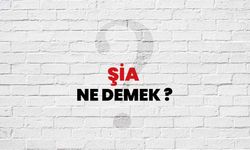 Şia Nelere İnanır!