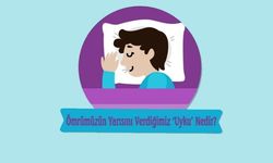 Ömrümüzün Yarısını Verdiğimiz Uyku Nedir?