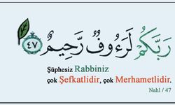 Merhamet Etmeyene Merhamet Edilmez