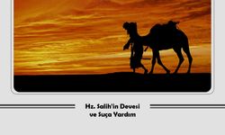 Hz. Salih'in Devesi ve Suça Yardım