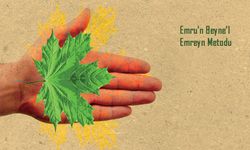 Emru'n-Beyne'l-Emreyn Metodu