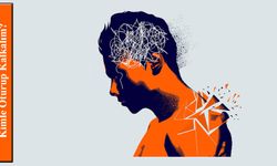 Kimle Oturup Kalkalım?