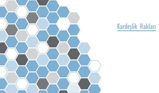 Kardeşlik Hakları