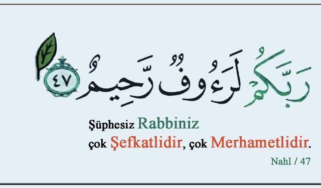 Merhamet Etmeyene Merhamet Edilmez