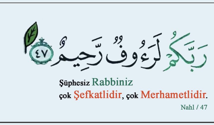 Merhamet Etmeyene Merhamet Edilmez