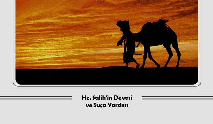 Hz. Salih'in Devesi ve Suça Yardım